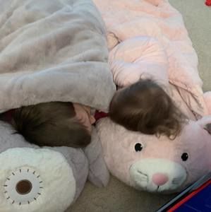 Meet your Posher, Christine